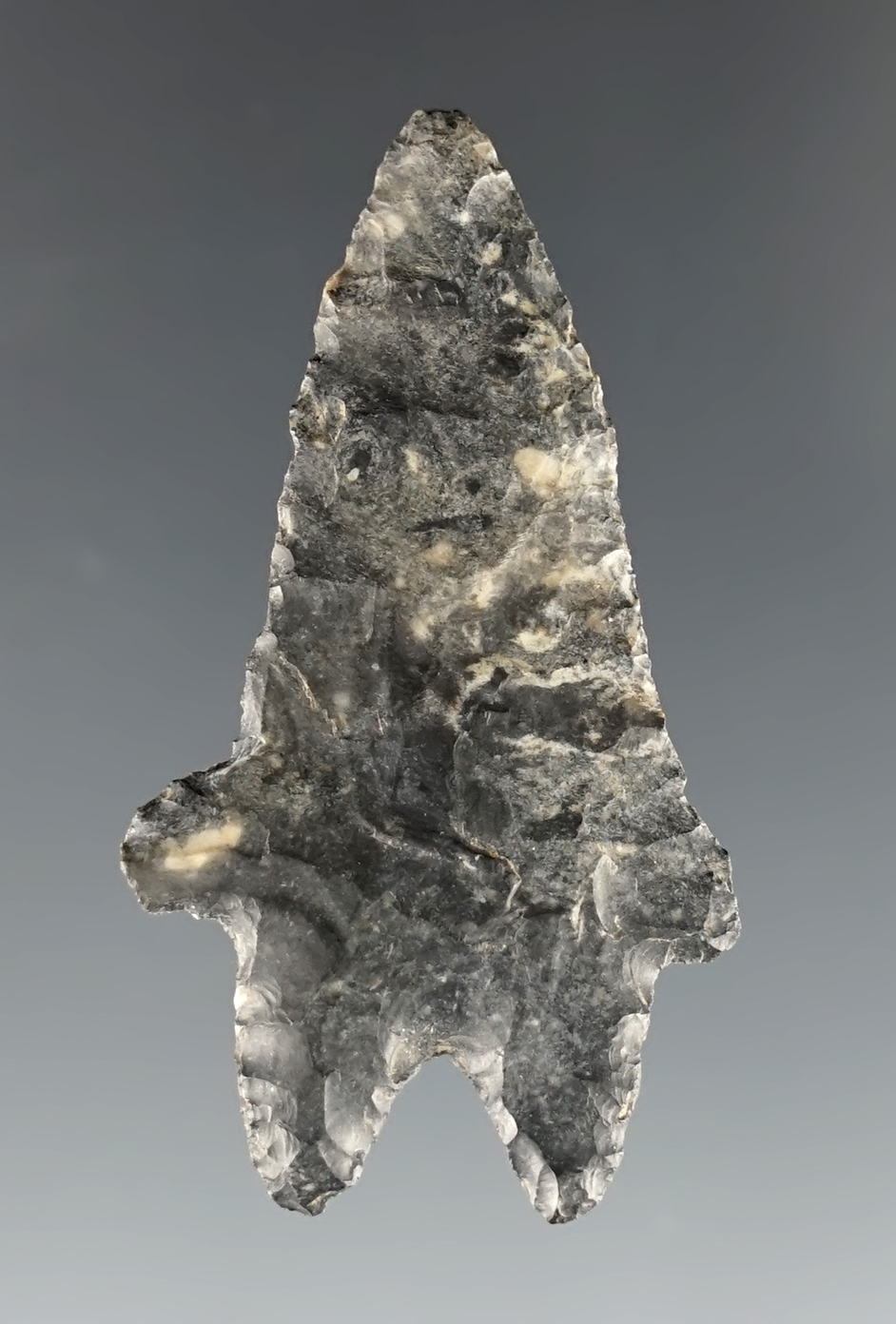 Paper thin! 1 11/16" Lake Erie Bifurcate made from Coshocton Flint. Tuscarawas Co., Ohio.