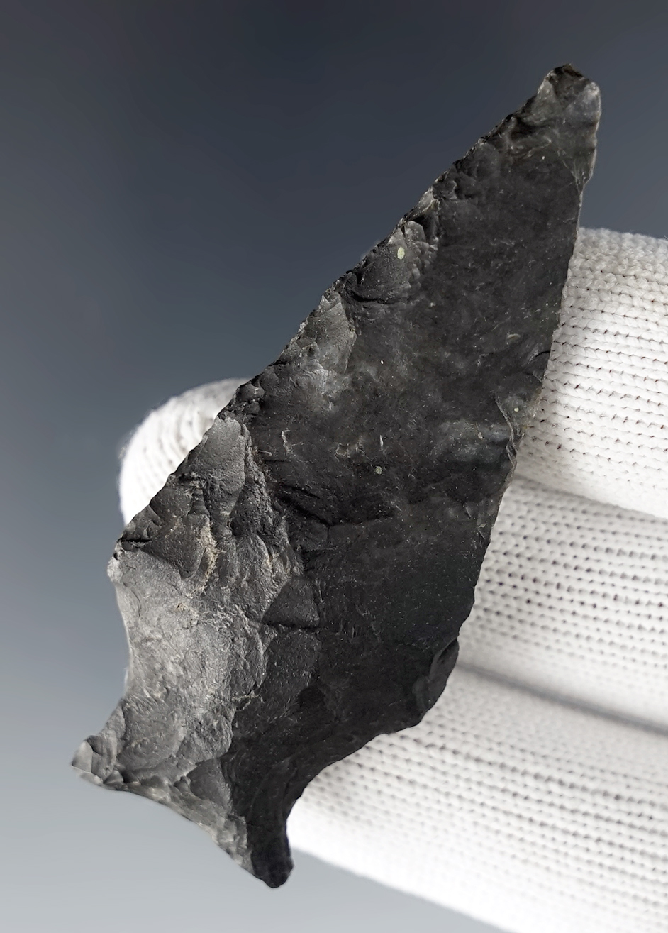 2 9/16" Ohio Ashtabula with excellent ancient grinding to the stem and basal area.