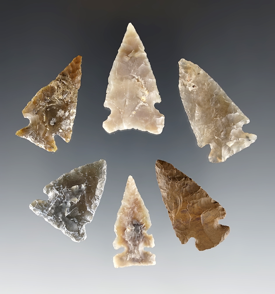 Set of 6 assorted points found in the High Plains area. All are in excellent condition.