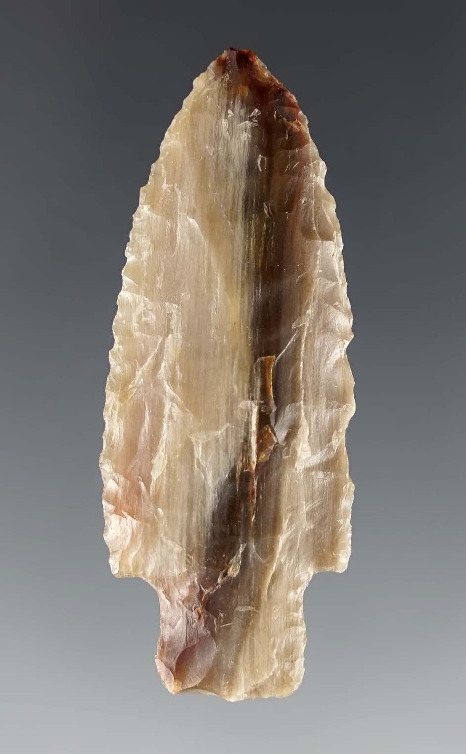 Beautiful material on this 2 3/16" Shaniko Stemmed Knife - Petrified Wood. Washington.