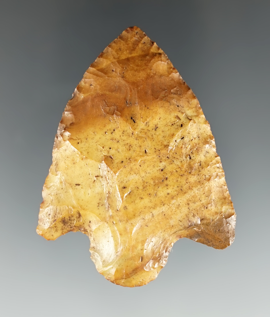Nicely colored 2 5/16" Cypress Creek found in Florida. Ex. T. Crawford.
