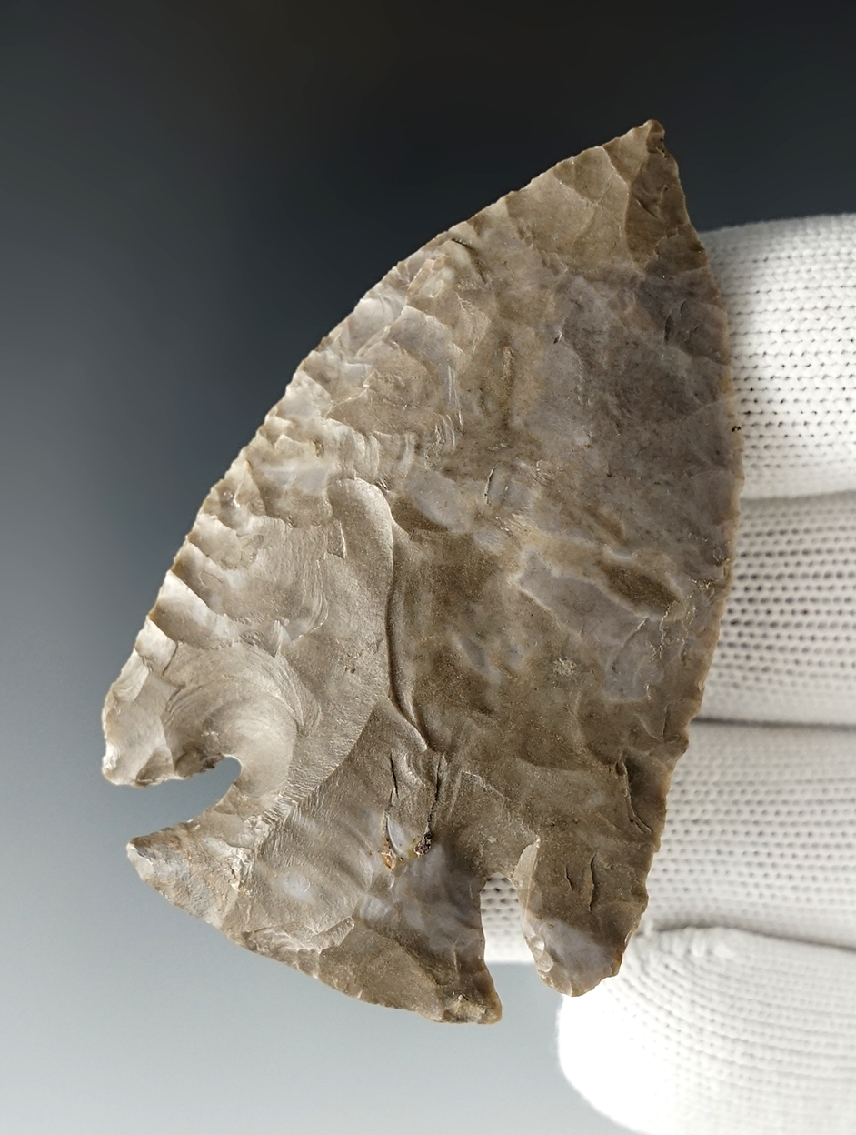 2 5/8" Lost Lake - Ft. Payne Chert. One basal lobe has been restored. Ohio. Bennett COA.