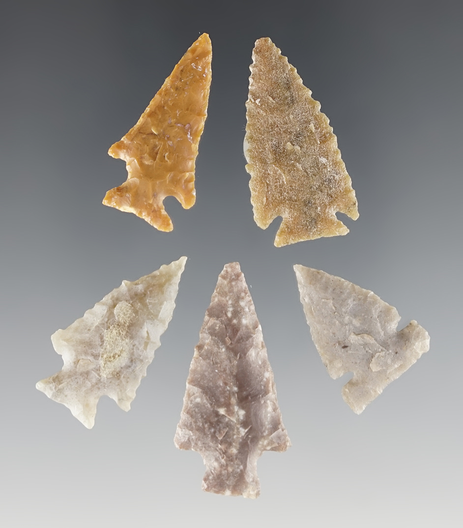Set of 5 well made points found in the High Plains area. The largest is 1 7/16".