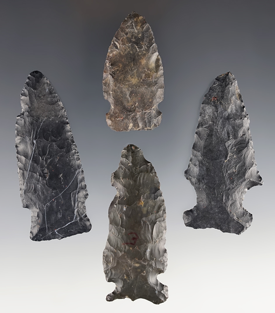 Set of 4 Coshocton Flint Archaic points found in various Ohio counties. The largest is 2 3/4".