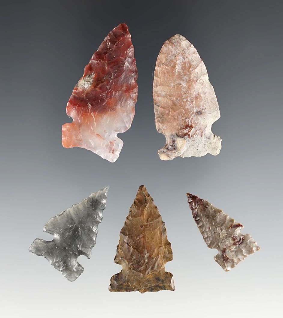 Set of 5 nicely colored Sidenotched points found near the Columbia river in Oregon.
