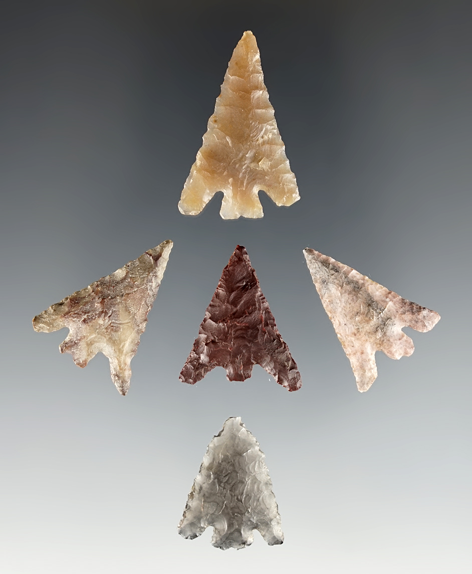 Set of 5 finely flaked points found near the Columbia River in Washington. The largest is 1 1/4".