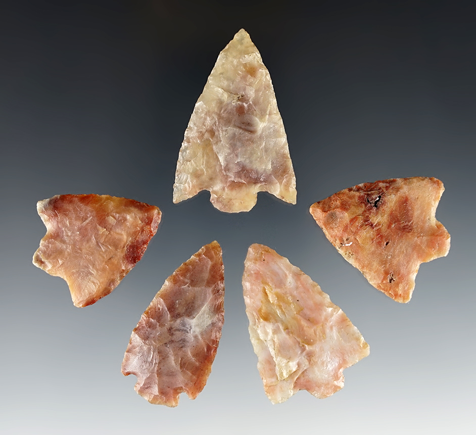 Set of 5 colorful Florida points in good condition. The largest is 1 7/8".