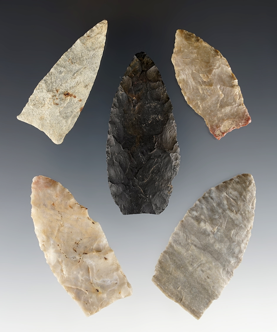 Set of 5 early Lanceolate points. One is broken. Found in various locations. The largest is 2 3/8".