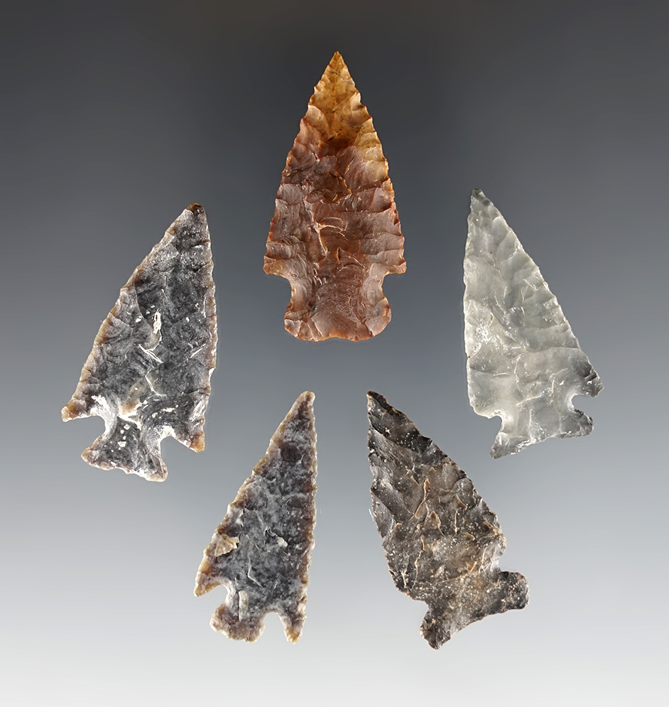 Set of 5 fine points found in the High Plains area. The largest is 1 9/16".