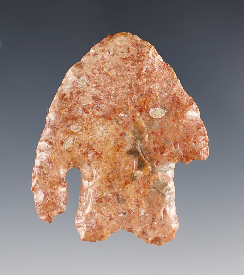 Colorful 2" Calf Creek found in Kansas. Made from beautiful Kay County Chert.