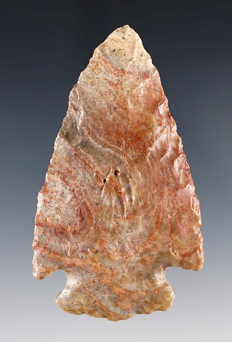 Well made 2 3/4" Grand Cornernotch point - Kansas. Highly colorful Kay County Chert.