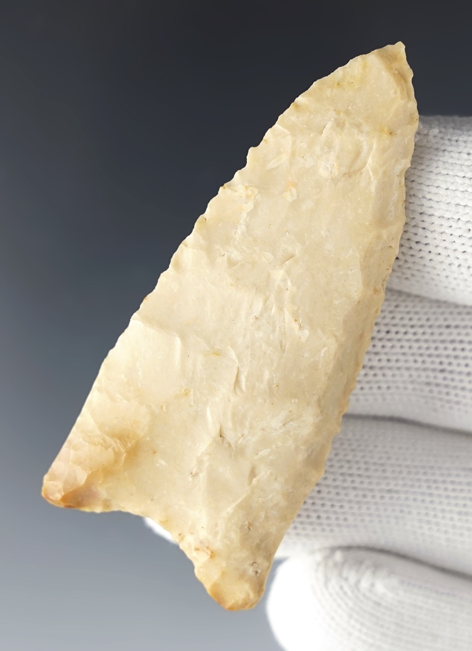 2 7/16" Dalton made from Kaolin Chert. Found in Pike Co., Illinois.