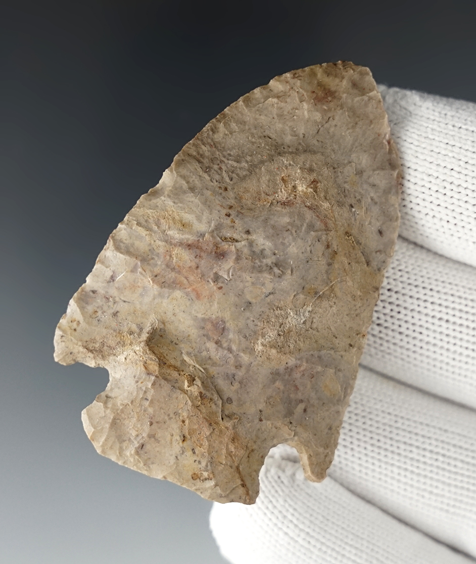 2 5/16" Cornernotch that is well patinated. Found in Ohio.