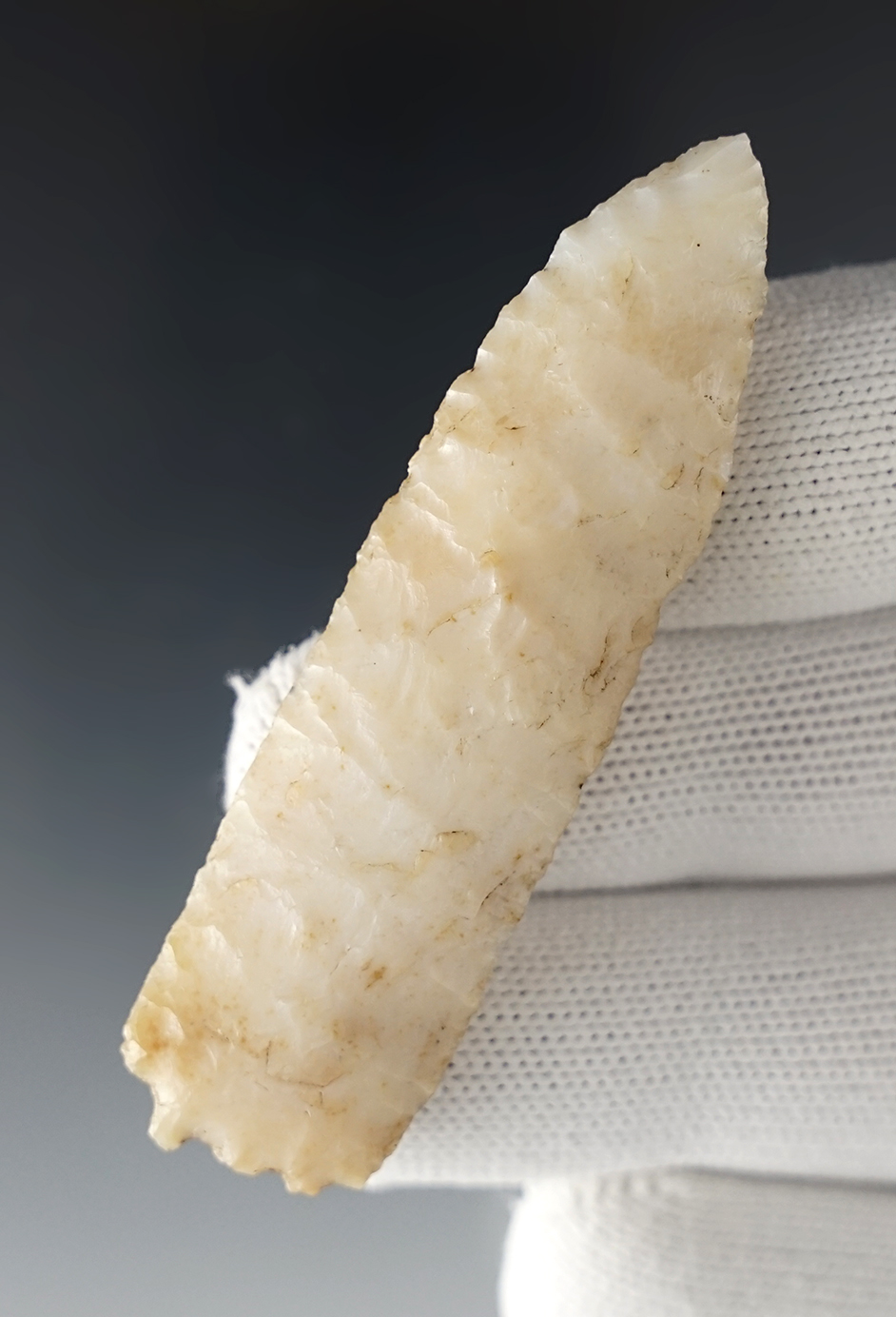 Unique base on this 2 11/16" Lanceolate. Found near the Columbia River, Washington.