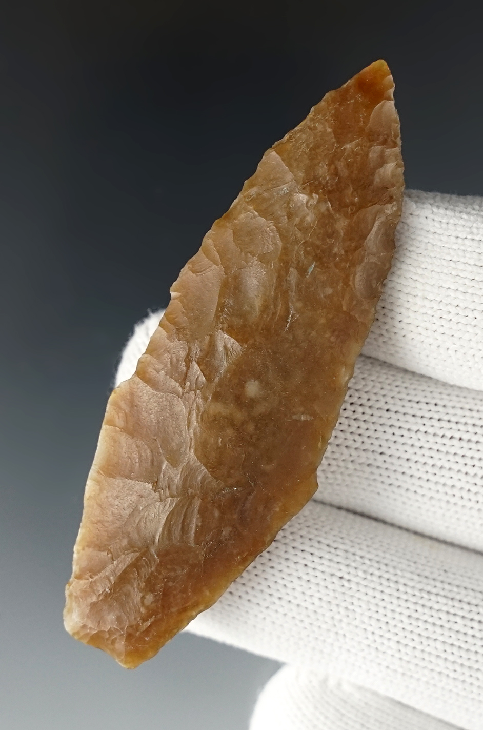 2 3/4" Angostura found at the Sand Pit site, Cibolo Creek in Texas. Translucent Agate. COA.