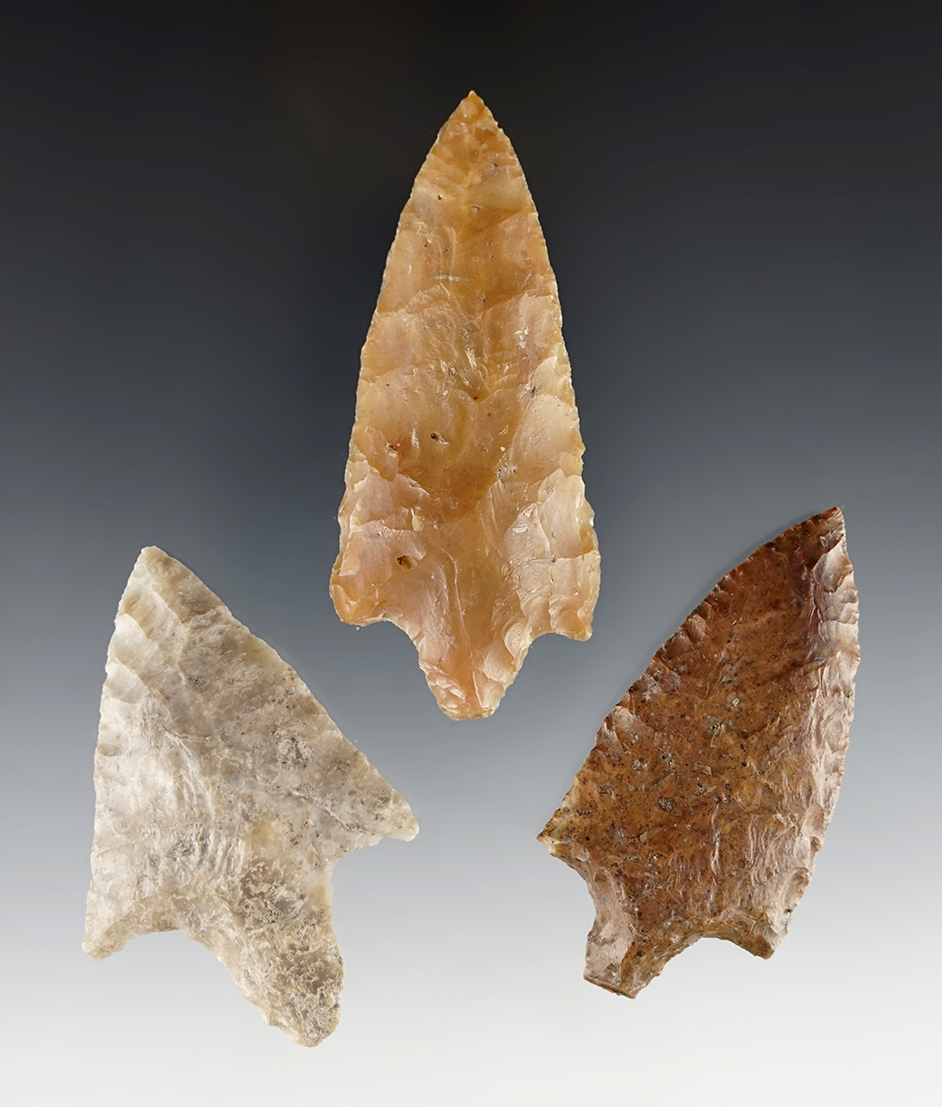 Set of three nice Florida points in excellent condition. The largest is 3 3/16".