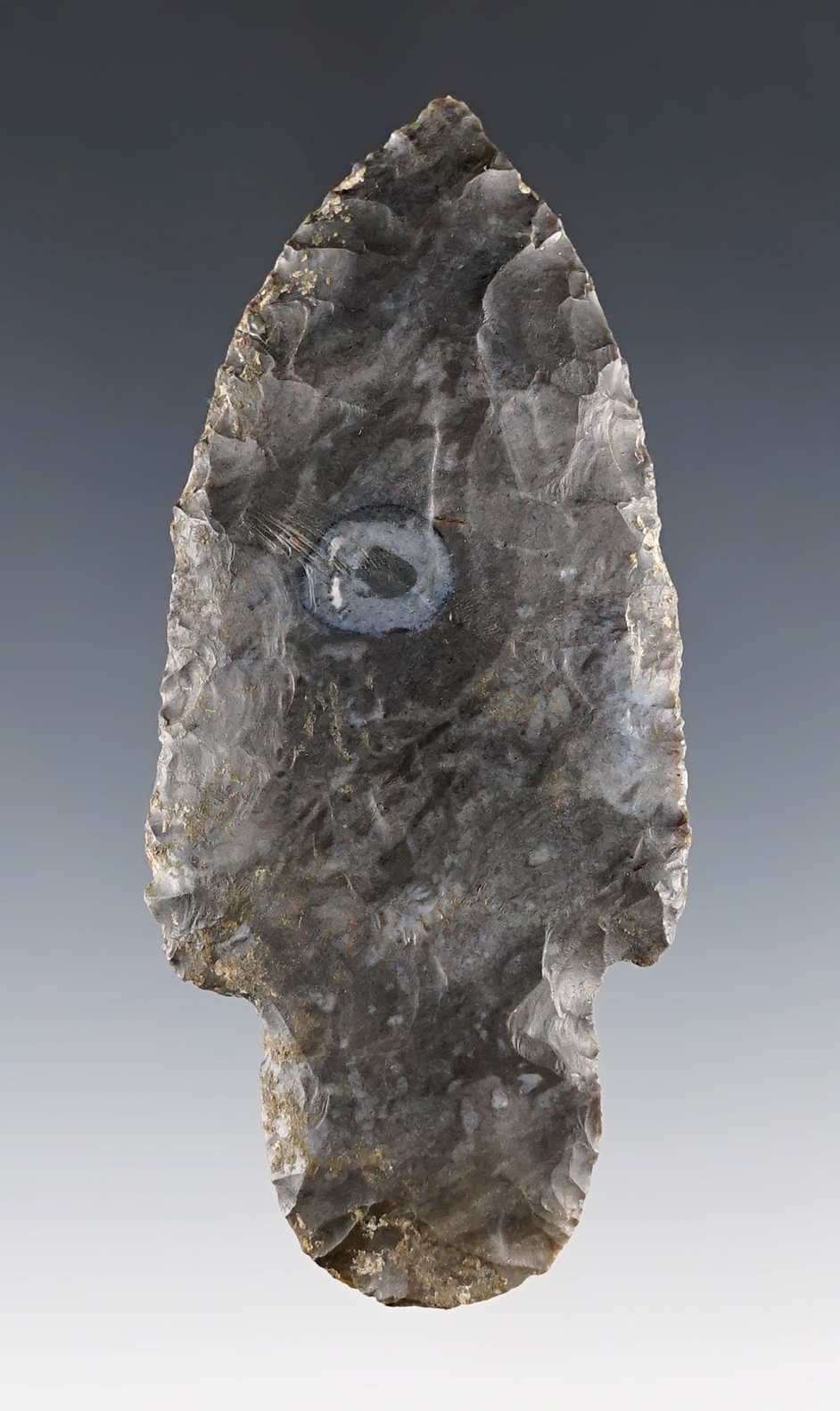 3 5/16" Adena Robbins found in Ohio. A finely made example of the type! Ex. John Grotte.