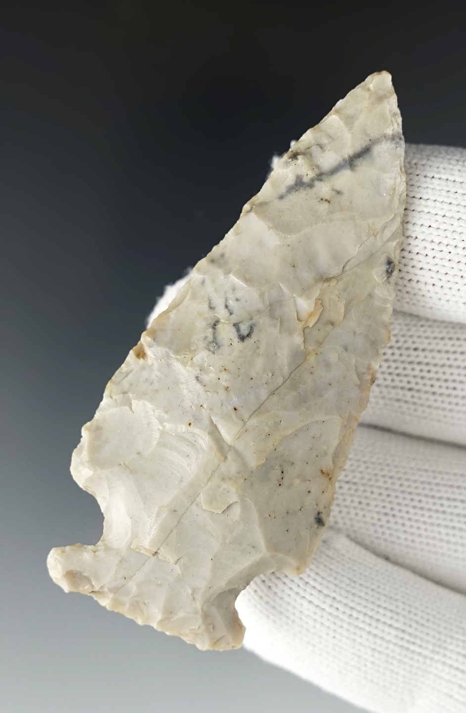 2 3/4" Ohio Sidenotch in excellent condition. No basal grinding.