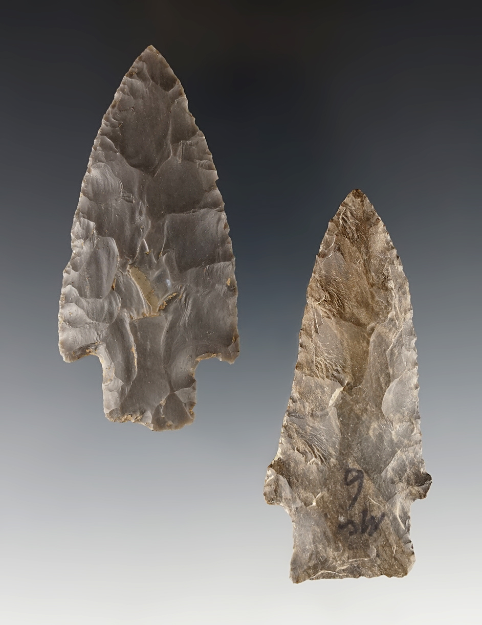 Pair of Midwest Archaic Stemmed points in excellent condition. The largest is 2 7/8".