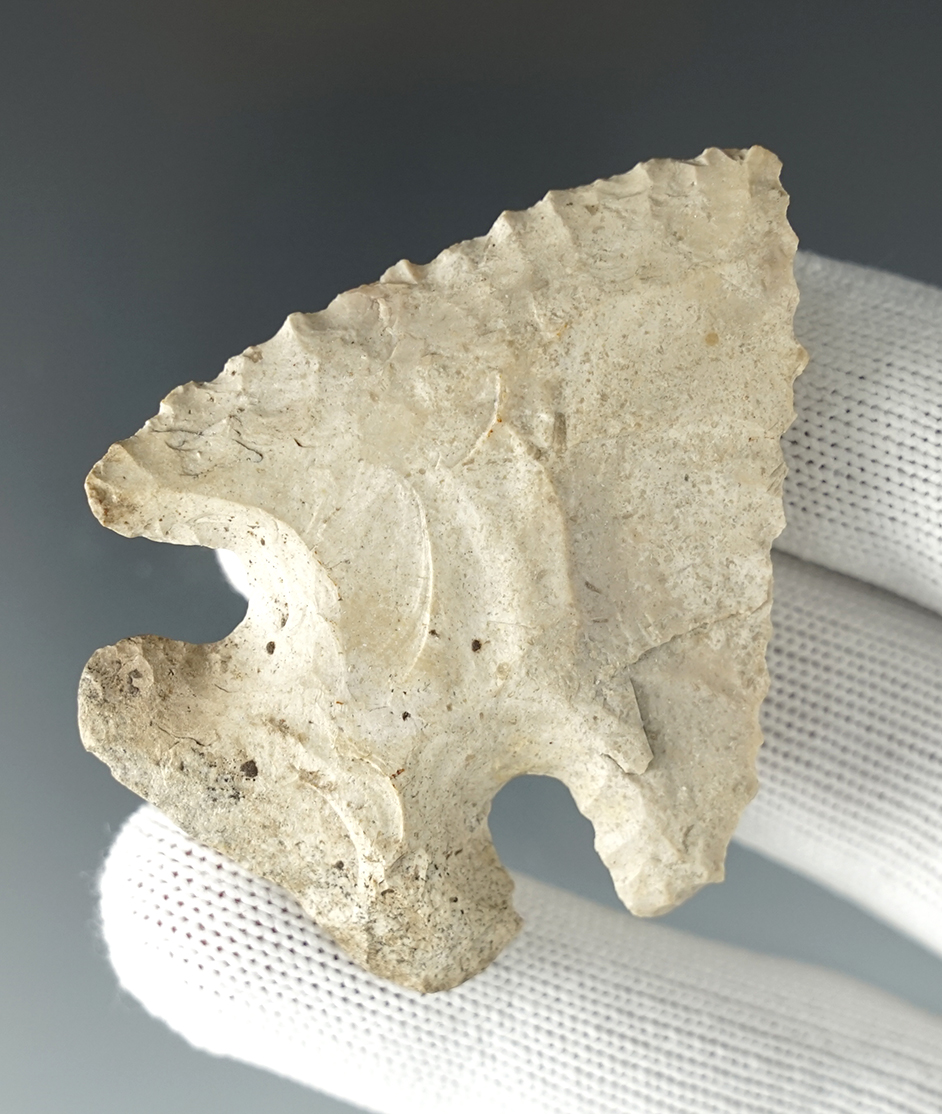 Classic 2 7/16" serrated Thebes found by James Moffett, Tuscarawas Co., Ohio