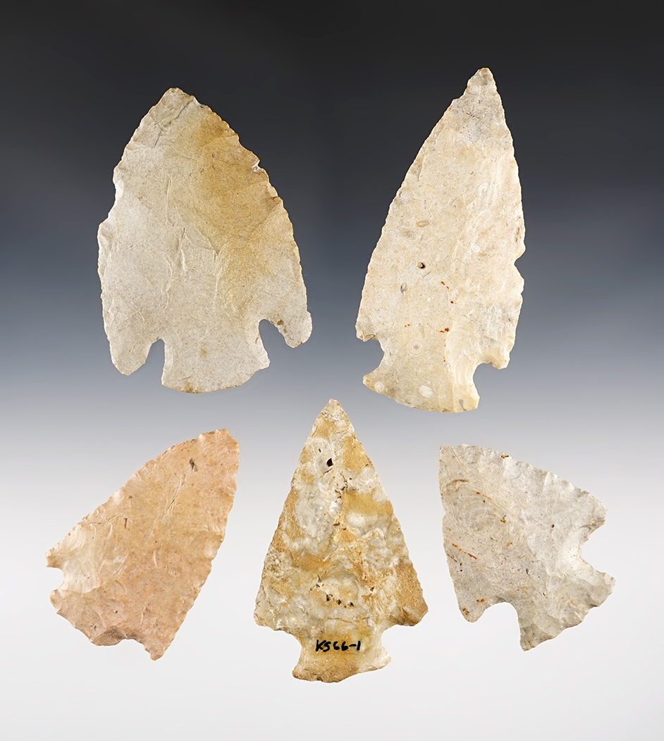 Set of 5 nice Kansas points in good condition. The largest is 3 1/2".