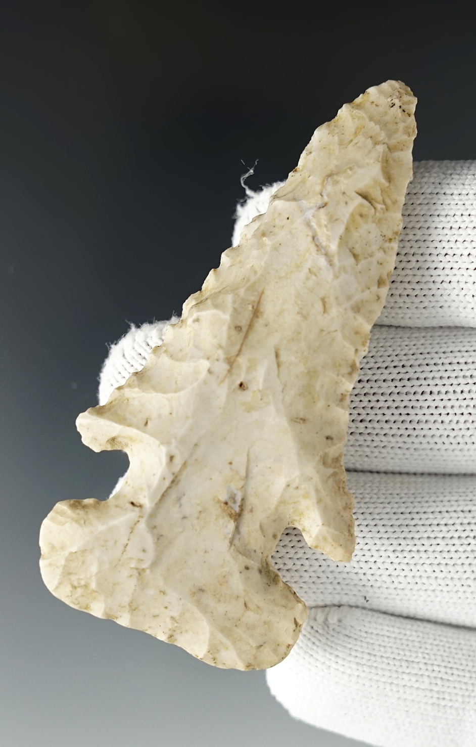 2 7/8" Archaic Thebes that is steeply beveled found in Henry Co., Ohio. Ex. David Root (#727F).