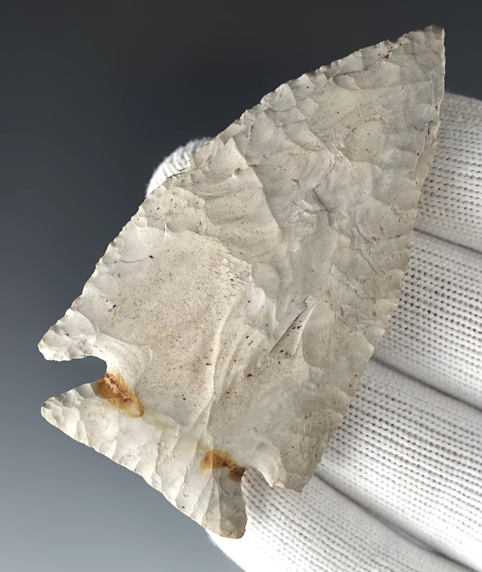 2 15/16" Archaic Cornernotch that is thin for the type. Found in Maysville, Mason Co., Kentucky