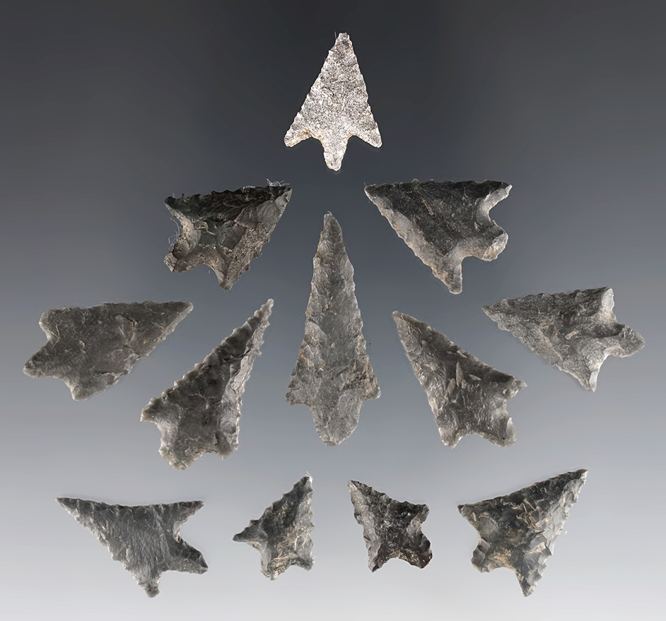 Set of 12 Arrowpoints found in Clackamas Co., Oregon. Most are made from Basalt.