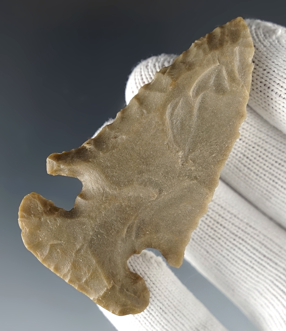 Fine 2 5/8" Thebes E-Notch with well defined notches and heavy ancient basal grinding. Ohio.