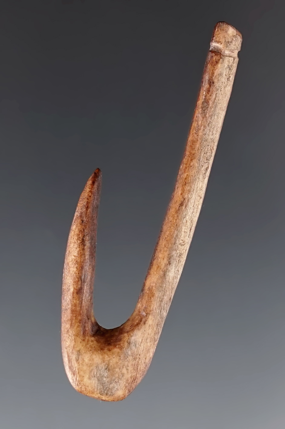 1 7/8" Fish Hook made from Bone. Found in the Kentucky area. Comes with a Bennett COA.